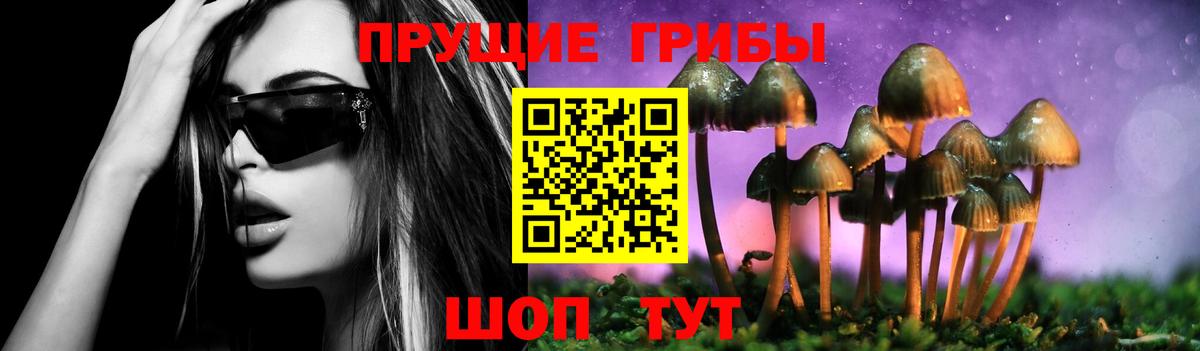 Кемерово  Псилоцибиновые грибы Psilocybine cubensis  наркотики  Галлюциногенные грибы Psilocybe  Вход с VPN 